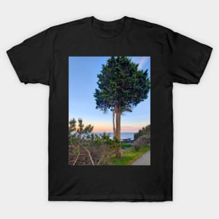 Solo Beach Tree T-Shirt